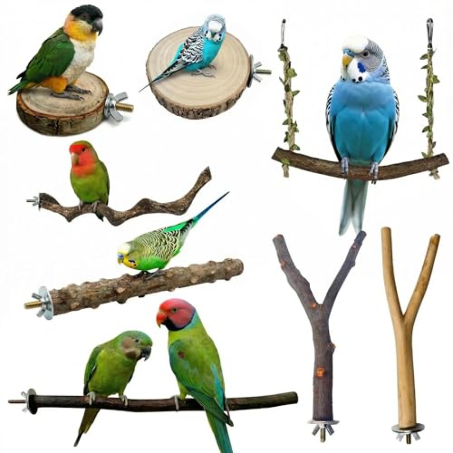 Health & Wellness Resources - 8PCS tempat bertengger burung dari kayu