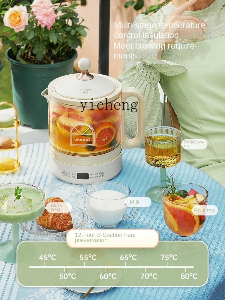 Ketel Teh Multifungsi Kecil un - Health & Wellness Website ulasan dan harga